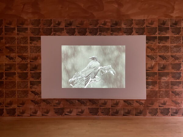 Cramer & Ockenfuß - Unleash the Beast, Installationsansicht MKK 2023; Foto: HD